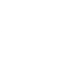 Custom icon